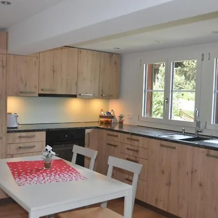 Renov 4,5 Zi Wg Lage Bahnen Apartmán Grindelwald