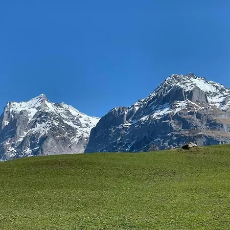 Renov 4,5 Zi Wg Lage Bahnen * Grindelwald